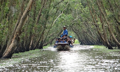 Những rừng tràm mùa nước nổi tuyệt đẹp níu chân bạn trẻ